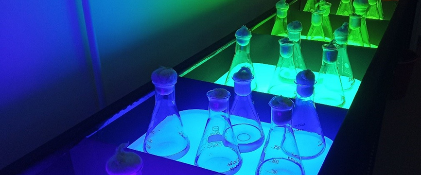 Éghajlatváltozás Multidiszciplináris Nemzeti Laboratórium
