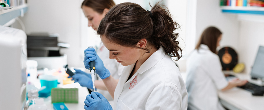 HCEMM Teaming Nemzeti Laboratórium